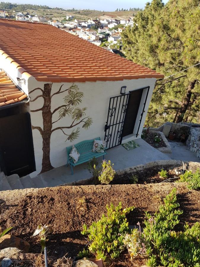 El Mirador Apartamento Vilaflor