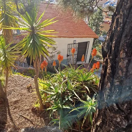 Appartamento El Mirador Vilaflor de Chasna Esterno foto